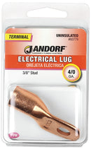 3399342.jpg