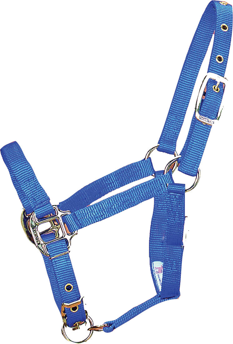Hamilton Adjustable Chin Halter W/Snap, Blue, Foal