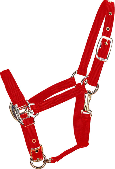 Hamilton Adjustable Chin Halter W/Snap, Red, Pony