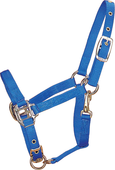Hamilton Adjustable Chin Halter W/Snap, Blue, Pony