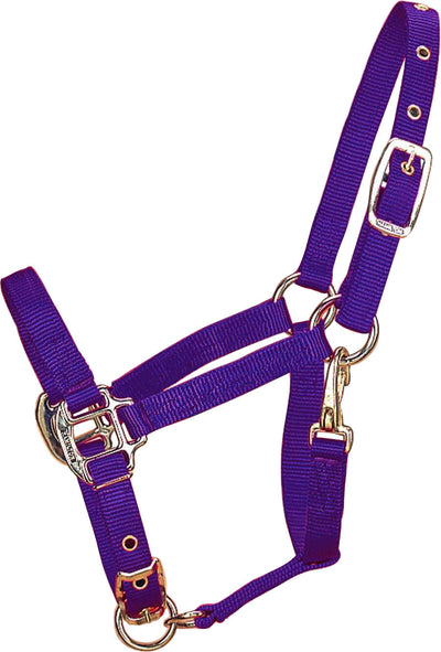 Hamilton Adjustable Chin Halter W/Snap, Purple, Pony
