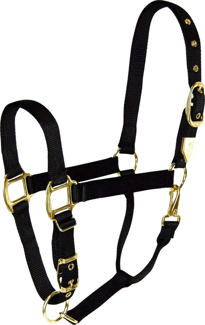 Hamilton Adjustable Chin Halter W/Snap, Black, Avg