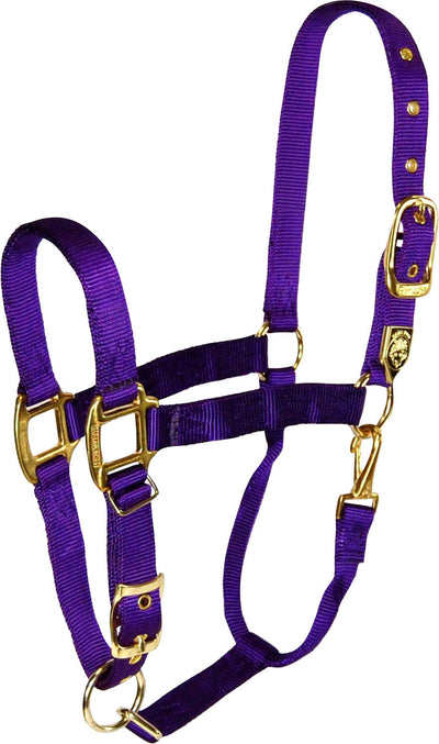 Hamilton Adjustable Chin Halter W/Snap, Purple, Avg