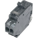 3710548.jpg