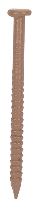 3877289.jpg