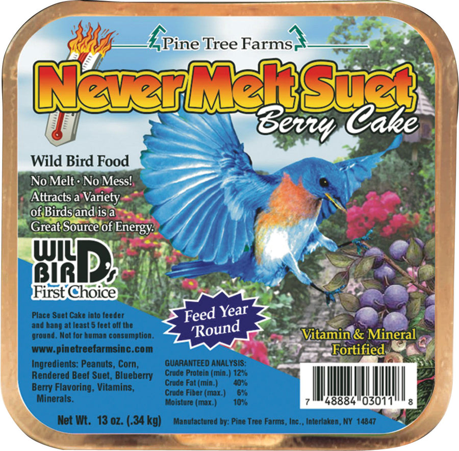 Pine Tree Farms Never Melt Suet Cake, Berry, 13 oz - Suet Cakes No Melt