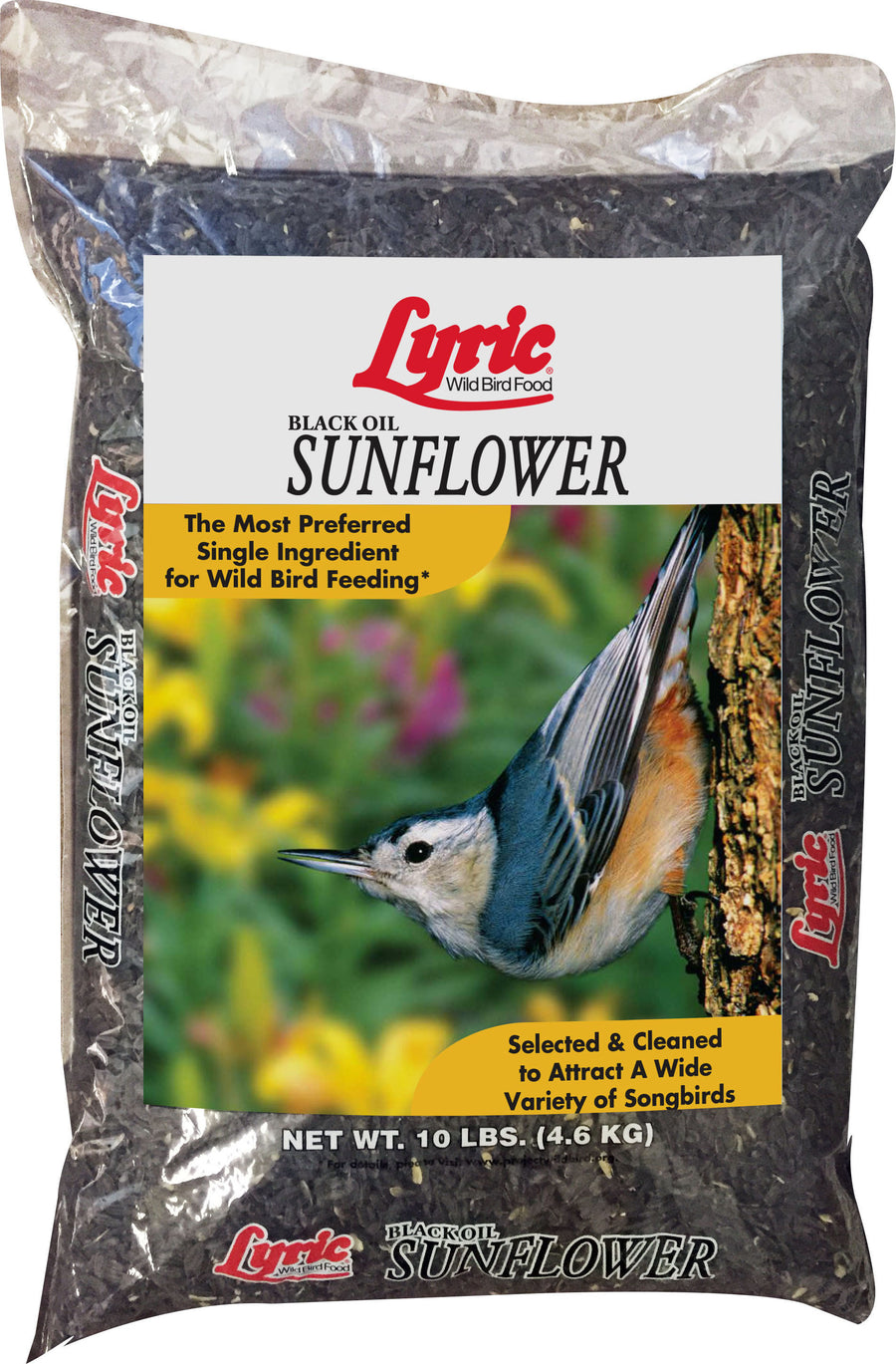 Lyric Black Oil Sunflower, 10 lb - Sunflower Oil
