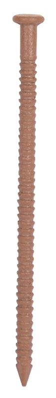 3906757.jpg
