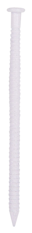 3907656.jpg