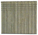 3912664.jpg