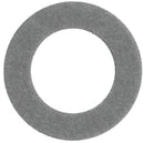 3927746.jpg