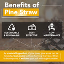 Premium Pine Straw Mulch Bale for Landscaping, Organic Material Made from Authentic Pine Needles Ideal for Gardening, Soil Moisture Retention.