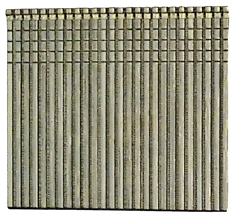 4015681.jpg