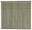 4015681.jpg