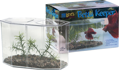 Lee's Betta Keeper Kit, lg-60 oz - Desktop