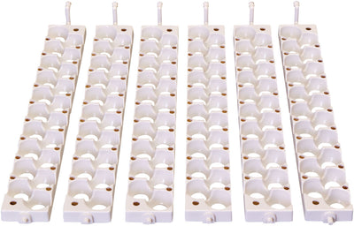 Little Giant Quail Egg Rails, White, 120 SM Eggs - Accessories
