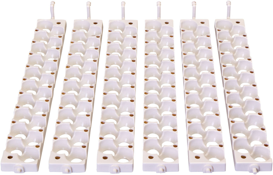 Little Giant Quail Egg Rails, White, 120 SM Eggs - Accessories