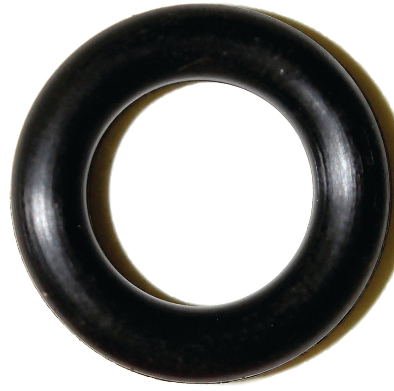 4091476.jpg