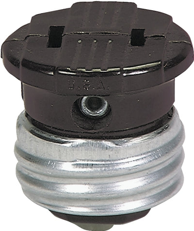 4169900.jpg
