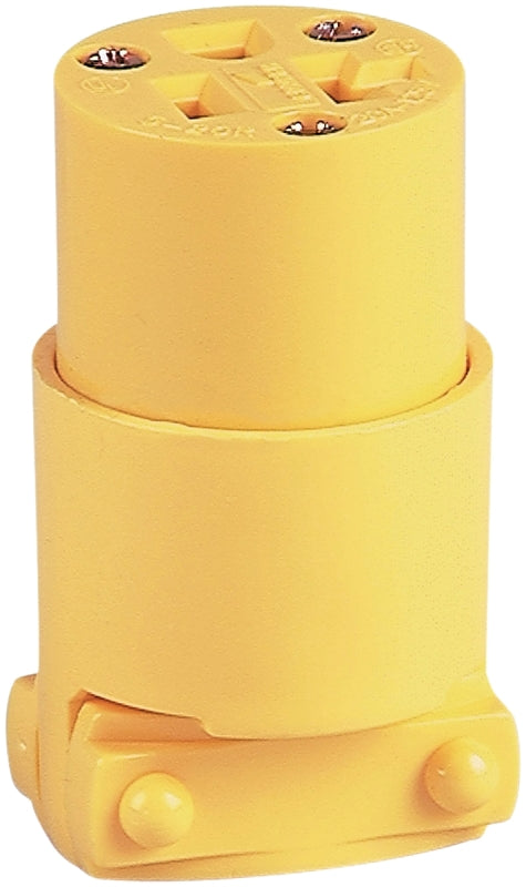 4352597.jpg
