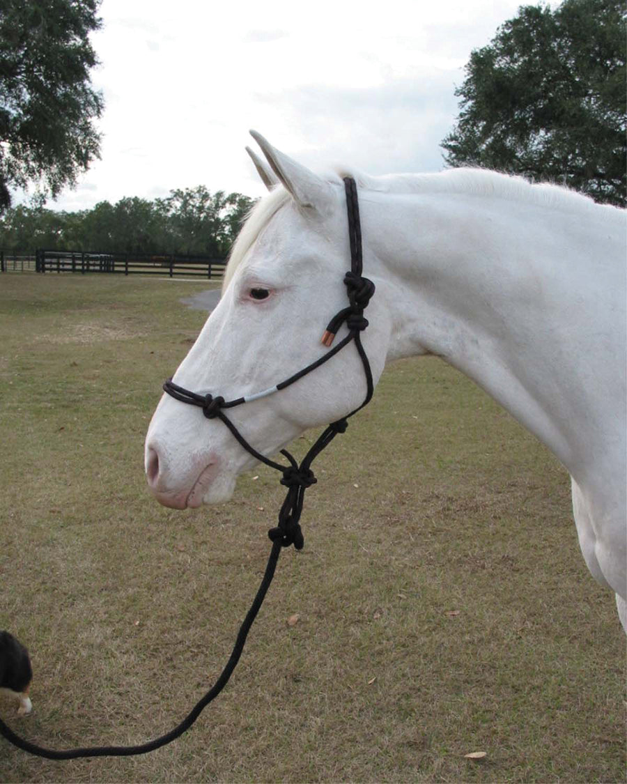 Hamilton Adult Rope Halter W/Lead, Black, Avg