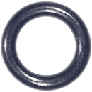 4506861.jpg