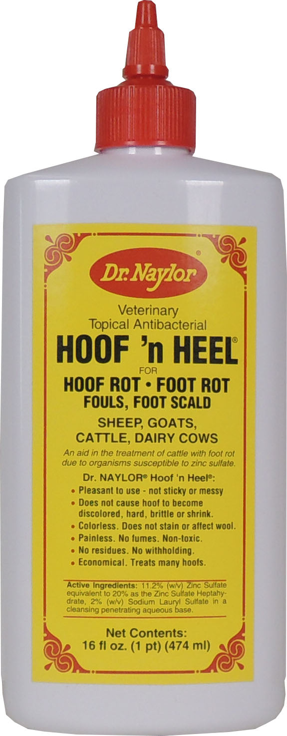 Dr. Naylor Hoof-N-Heel Liquid, 16 oz - Foot Bath & Medication/Trmnt