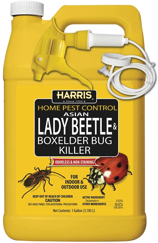 Harris HBXA-128 Beetle and Box Elder Bug Killer
