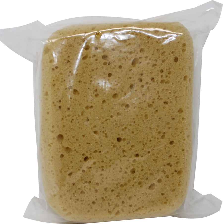 Decker Body Sponge - Sponges