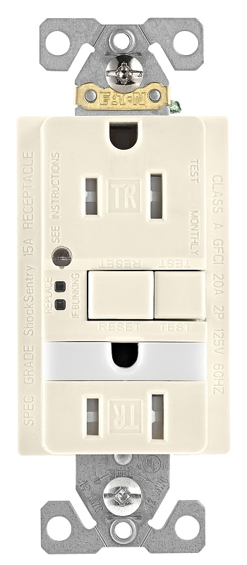 4896320.jpg