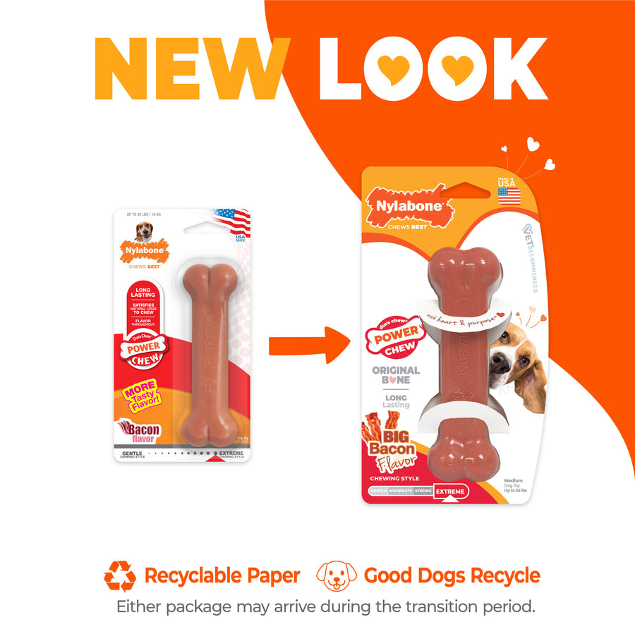 Nylabone Power Chew Bone, Bacon, MD - Hard Plastic