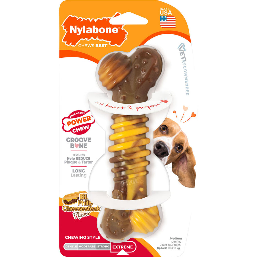 Nylabone Power Chew Flavor Frenzy, Cheesesteak, MD - Hard Plastic