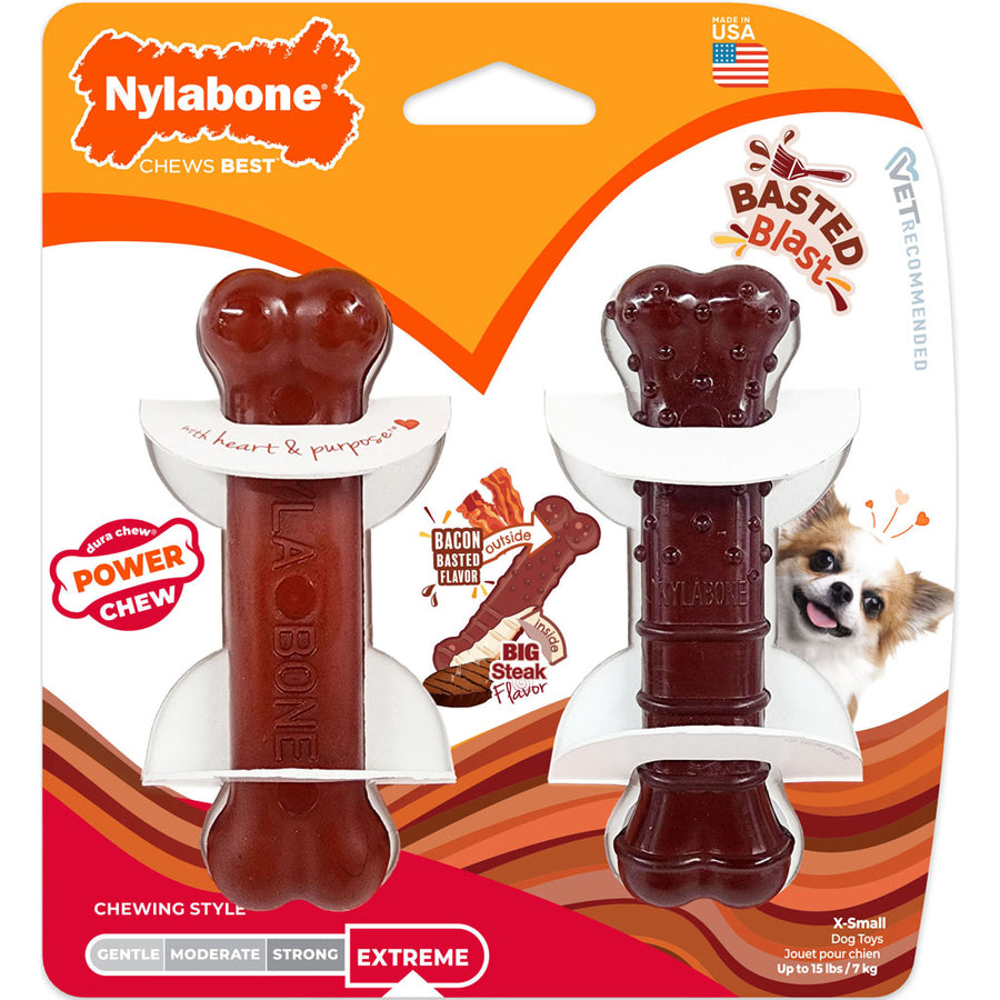 Nylabone Power Chew Basted Blast, Bacon/Steak, xs-2 pk - Hard Plastic