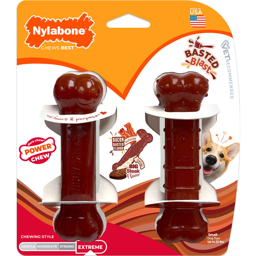 Nylabone Power Chew Basted Blast, Bacon/Steak, sm-2 pk - Hard Plastic