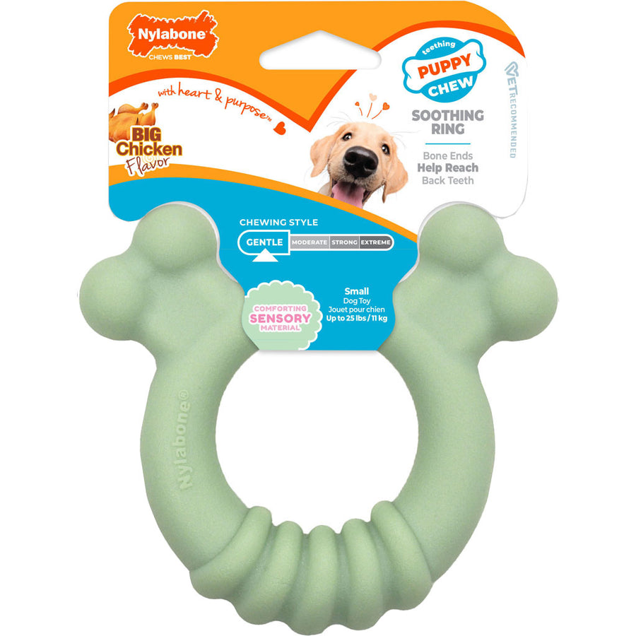 Nylabone Puppy Teething Ring, Chicken, SM - Hard Plastic