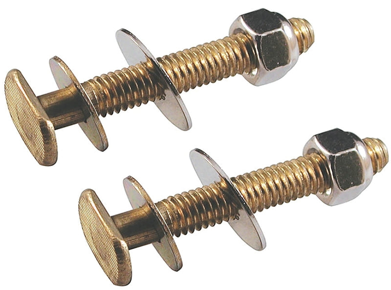 Danco 88773A Closet Bolt