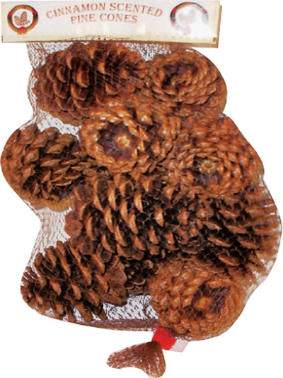 Hometown Holidays 70410-20 Christmas Specialty Decoration