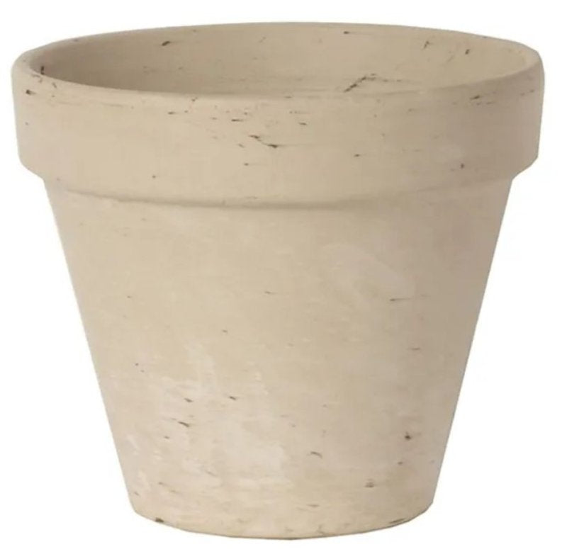 Border Concepts 805561 Pot