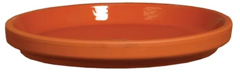 Border Concepts 801687 German Inner Glazed Saucer