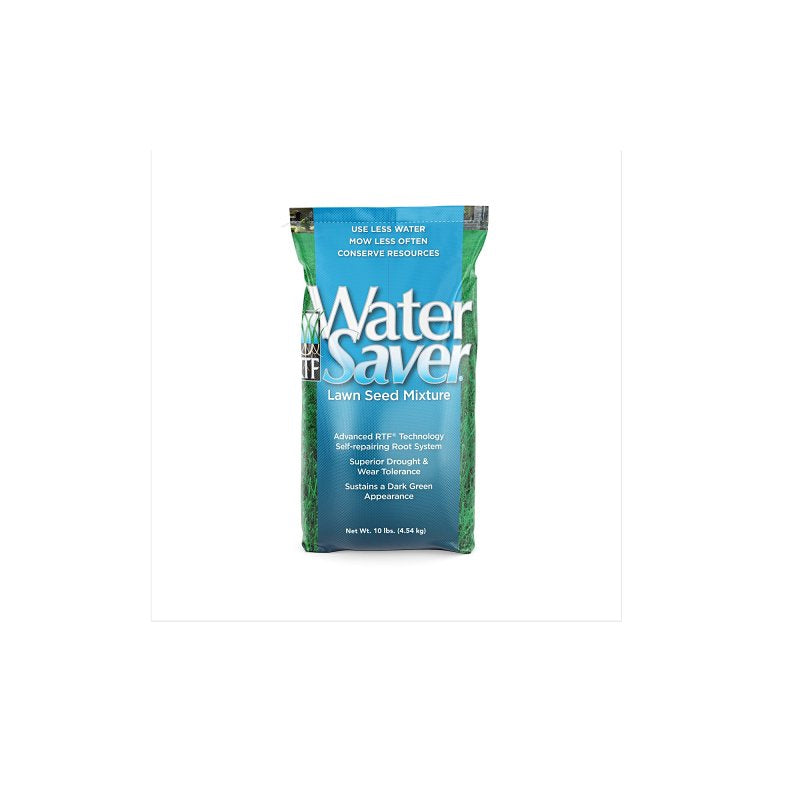 Barenbrug 11110 Tall Fescue Grass Seed
