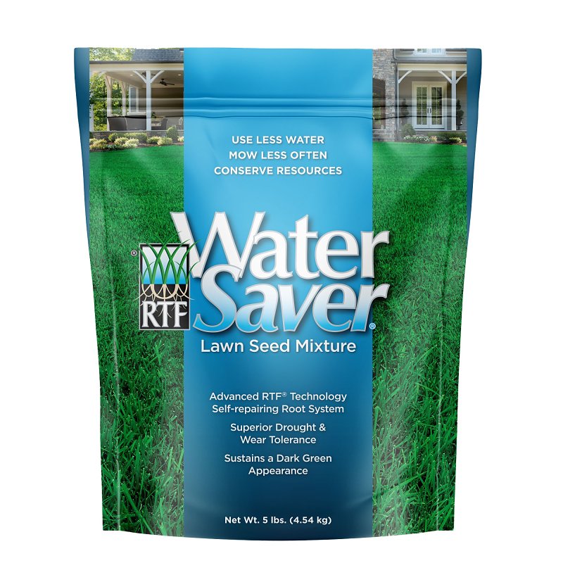 Barenbrug 11205 Tall Fescue Grass Seed