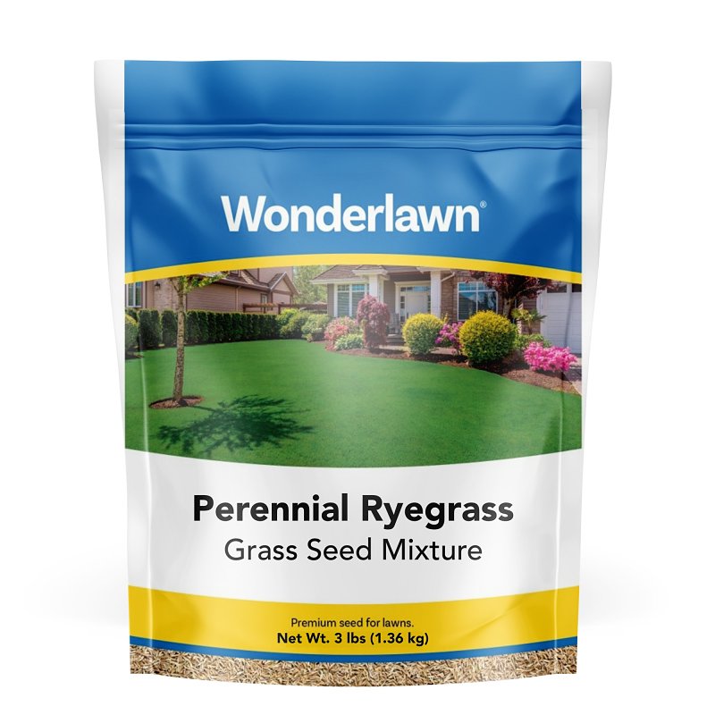 Barenbrug 22203 Grass Seed