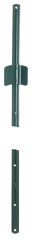 5118039.jpg