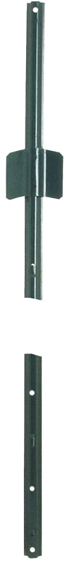 5118534.jpg