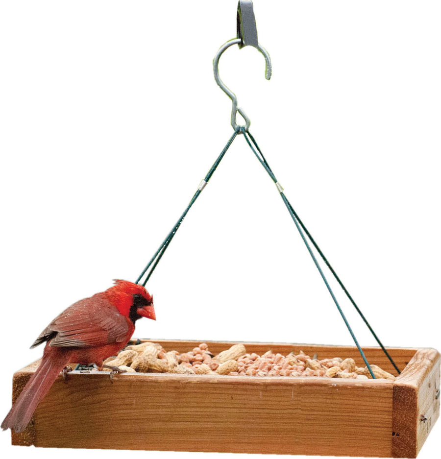 Audubon 3-in-1 Cedar Platform Feeder, Tan, 13x13x2.5 in - Platform/Fly Thru Feeders