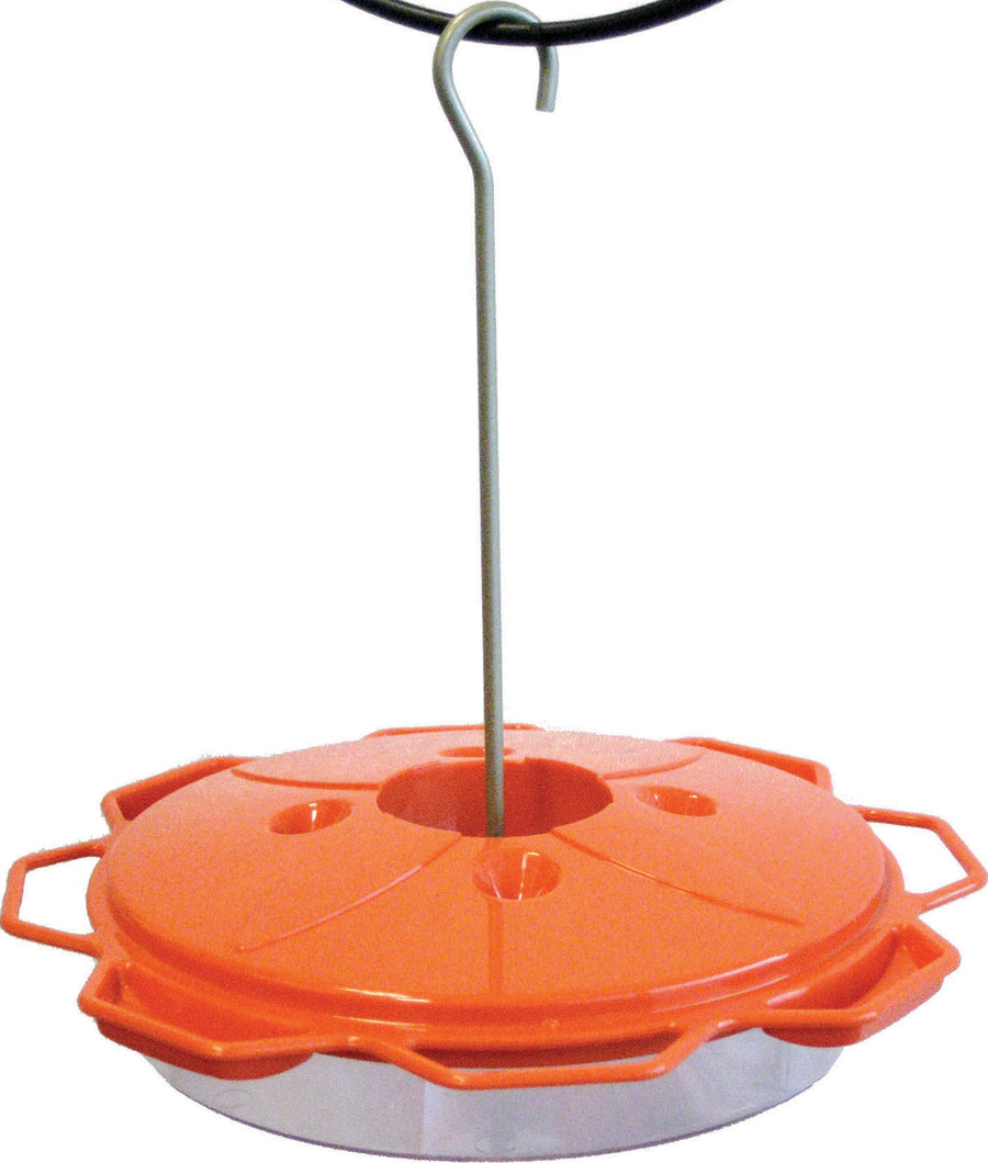 Audubon 3-in-1 Oriole Dish Feeder, Orange, 12 oz Cap - Oriole Feeders