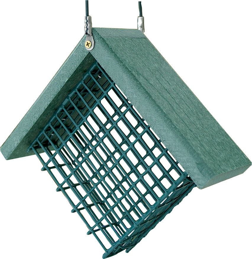 Audubon Going Green Suet Feeder, Green, 1 Cake Cap - Suet and Seed Cake Feeders