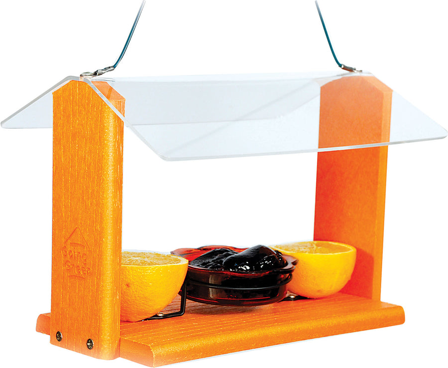 Audubon Going Green Deluxe Oriole Feeder, Orange, 12x8.25x8.2 in - Oriole Feeders