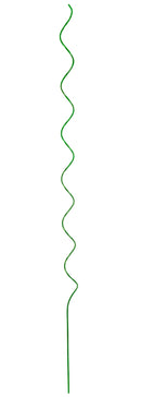 5285911.jpg