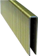 5332267.jpg